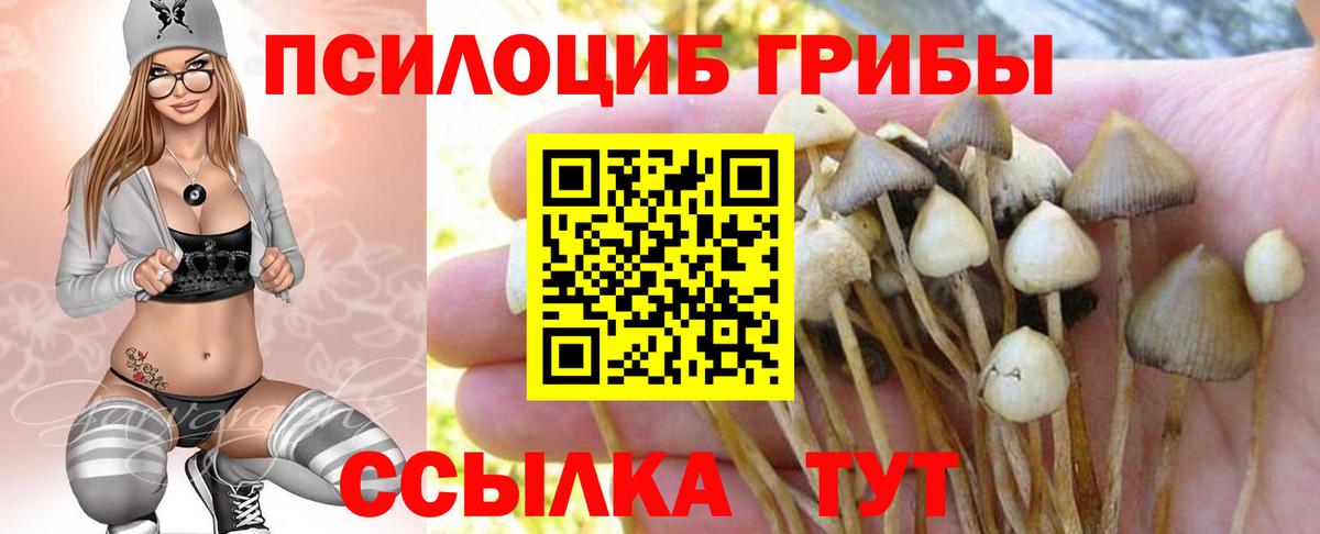 Псилоцибиновые грибы ЛСД Дзержинский