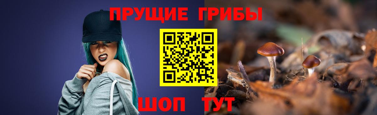 Дзержинский  Псилоцибиновые грибы Psilocybe  Вход с VPN 
